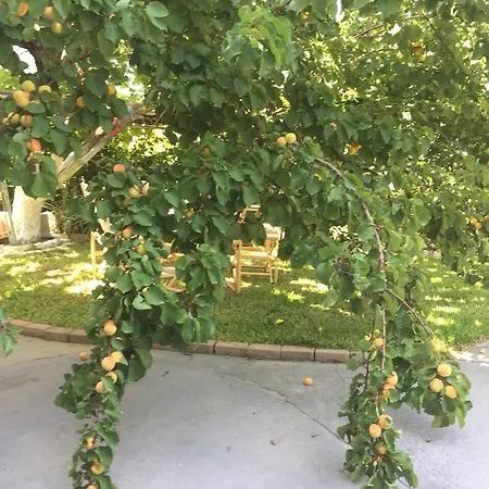 Makis & アパート *